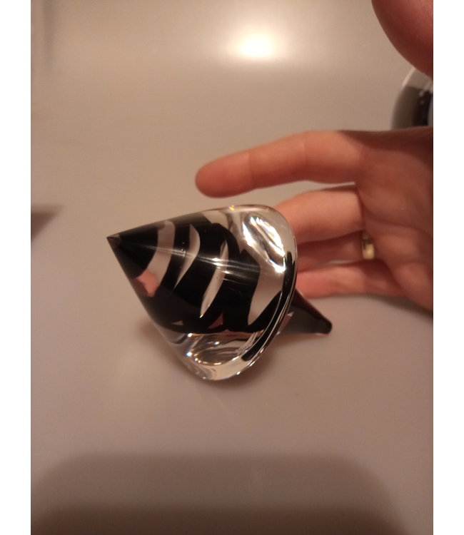 Siem van der Marel - Leerdam Serica