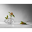 Orrefors Kristallvase Bloom