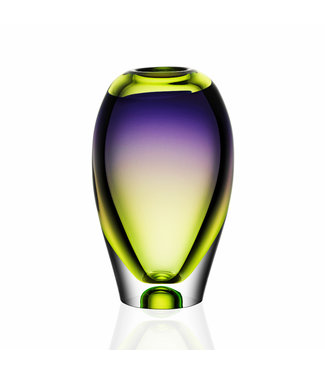 Kosta Boda Art Glass Kosta Boda vaas Vision