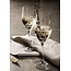 Orrefors Champagnerglas SENSE 6P
