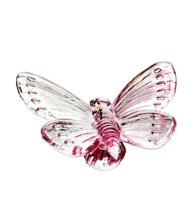 Vas Vitreum vlinder Papilio