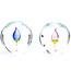 Ozzaro Kristal Tsjechië Ozzaro Collection - Kristallen Disc sculptuur Tulp