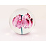 Ozzaro Kristal bol Tulp