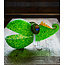 Glasstudio Borowski - Chamäleon groß
