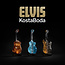 Kosta Boda Elvis Presley Gitarre 'Graceland'