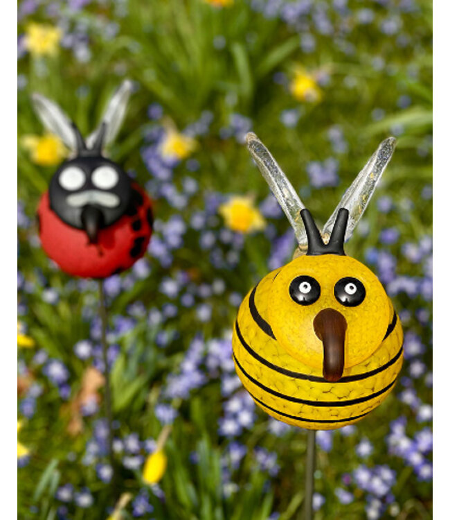 BOROWSKI Buzz On Stick