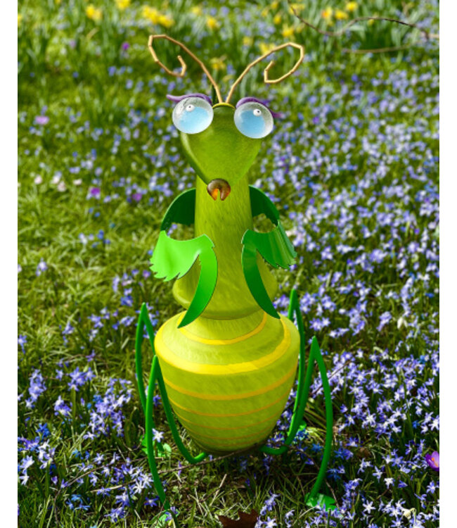 Borowski outdoor object CLEO