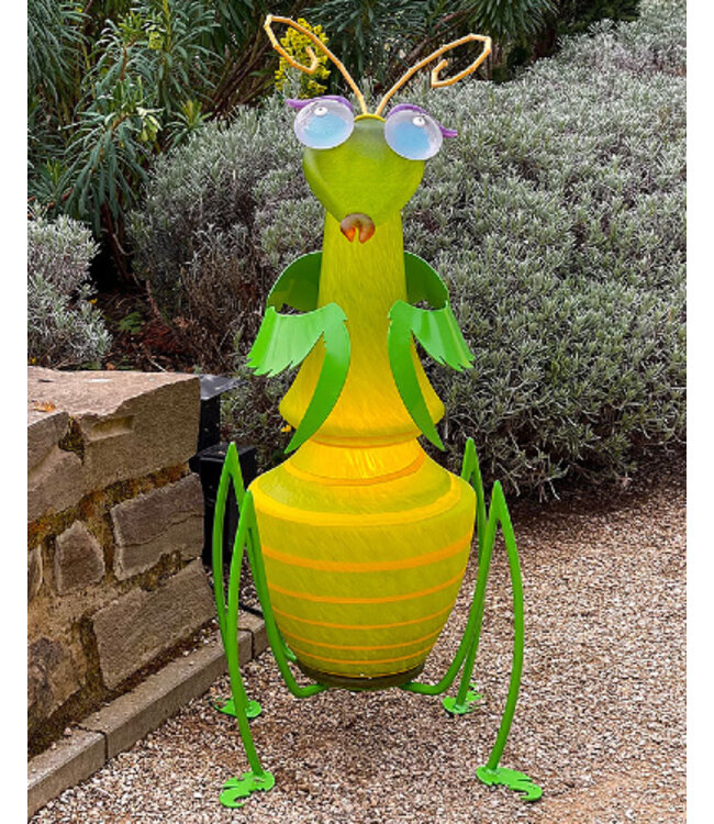 Borowski-Außenobjekt CLEO