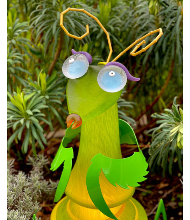 Borowski-Außenobjekt CLEO