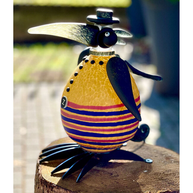 Borowski Schrägvogel Zorro