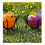 Borowski tuinlamp Figaro oranje