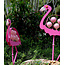 Borowski Glas tuinobject Flamingo