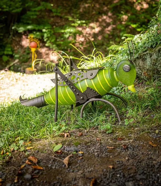 Borowski JUMPER der Grashüpfer