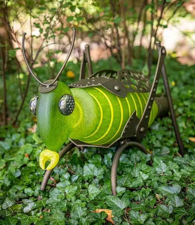 Borowski JUMPER der Grashüpfer