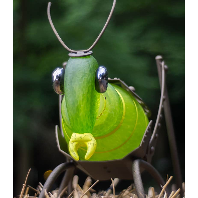 Borowski JUMPER der Grashüpfer