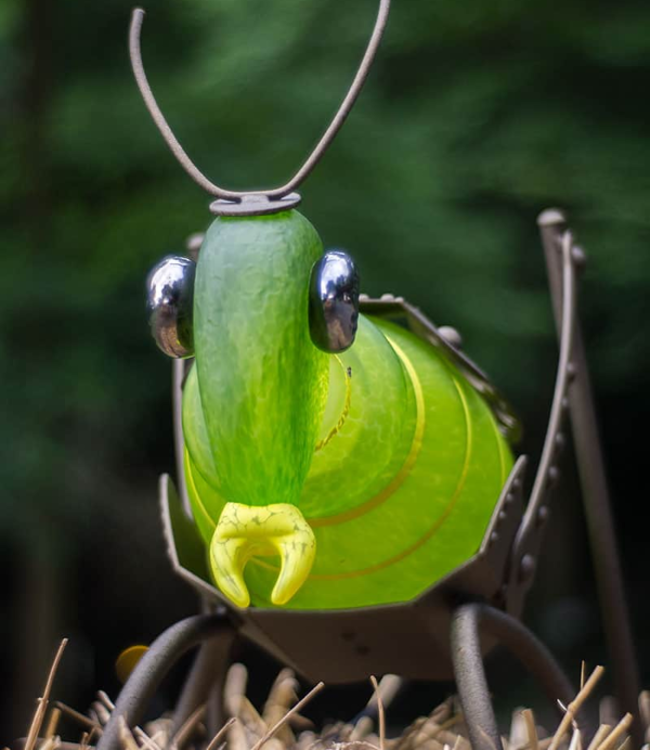 Borowski JUMPER der Grashüpfer