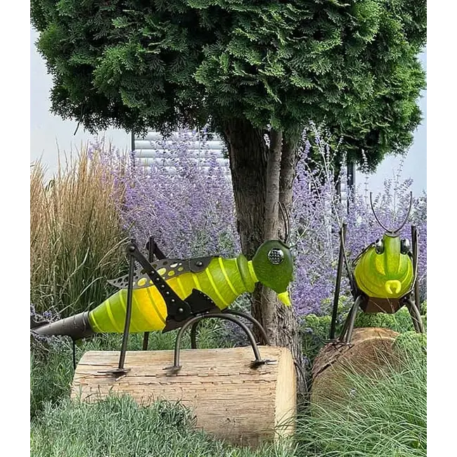 Borowski JUMPER der Grashüpfer