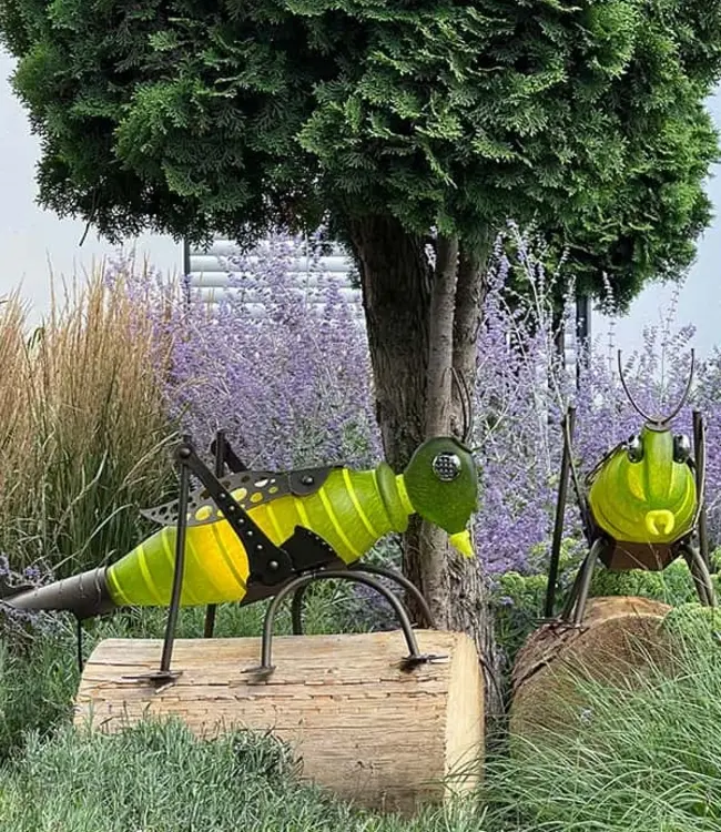 Borowski JUMPER de Sprinkhaan