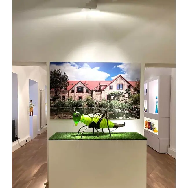 Borowski JUMPER der Grashüpfer