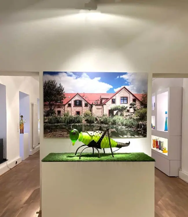 Borowski JUMPER de Sprinkhaan