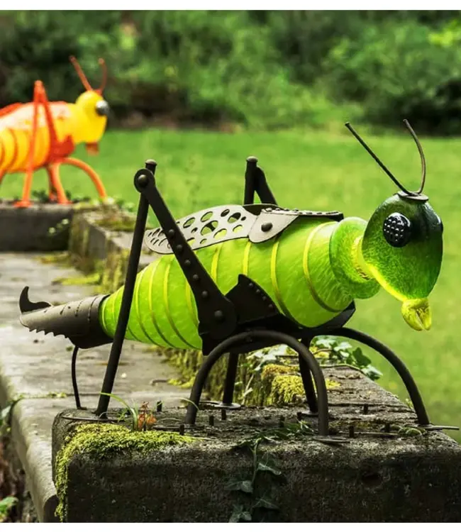 Borowski JUMPER der Grashüpfer