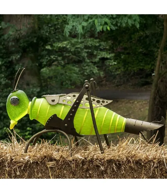 Borowski JUMPER der Grashüpfer