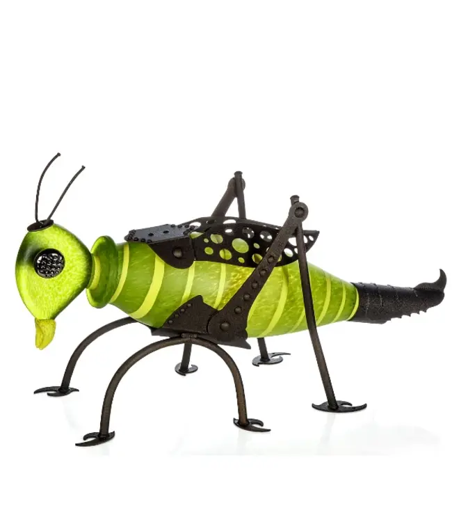 Borowski JUMPER der Grashüpfer