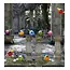 Borowski Gartenstab Glas Kiwi Stick