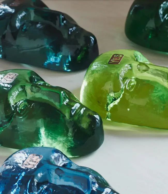 KostaBoda Brains Companion 'Liebe'