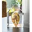 B Vallien - Meine Palastskulptur 'Goldener Kopf'