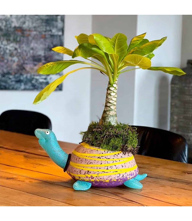 Borowski Glas schaal Toby blauw/paars