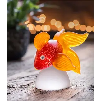 Glasstudio Borowski Borowski glaskunst Oranda rood