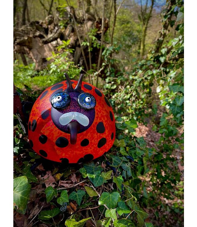 Borowski Lichtobjekt Romeo