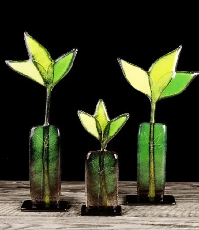 Habrat gläserne Blume Wiese