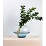 Kristallvase Kappa