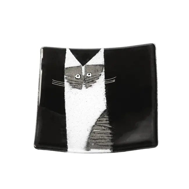 Habrat Glass plate Kat