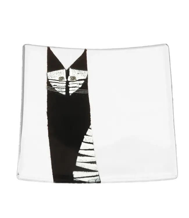 Habrat Glass plate Kat