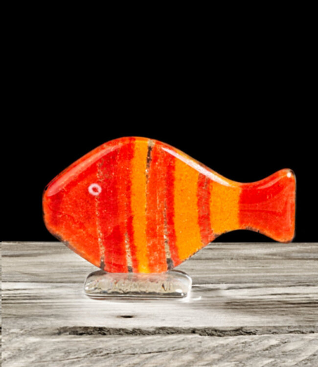 Habrat Glas - Glasfisch Nemo