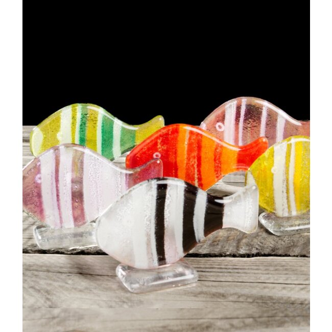 Habrat Glas - Glasfisch Nemo