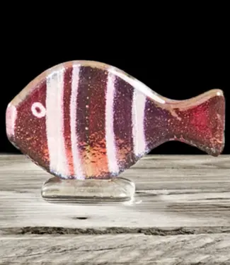 Glass Studio Habrat Habrat - Nemo fish groot Pink/Clear