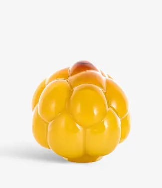 Kosta Boda Art Glass Kosta Boda glaskunst Berry Tales