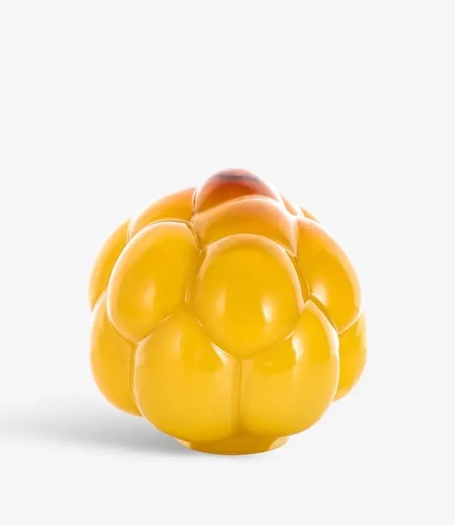 Kosta Boda Glaskunst Beerengeschichten