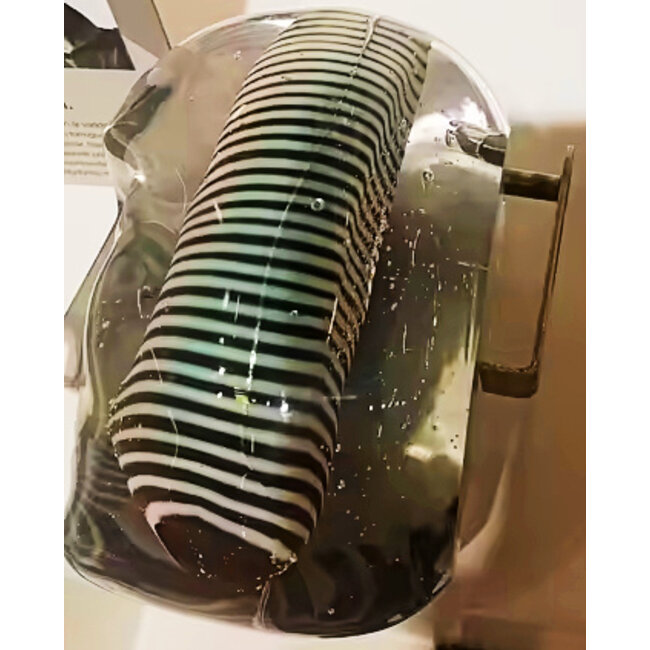 Kosta Boda Brains LOOK