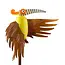 Borowski Windgong Maverick Limette
