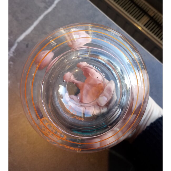 Andries Copier - Wilhelminavaasje 1938