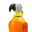 Borowski Glas lamp RIo