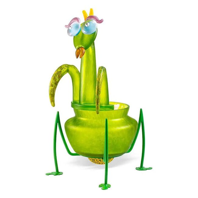 Borowski schale Miss Mantis