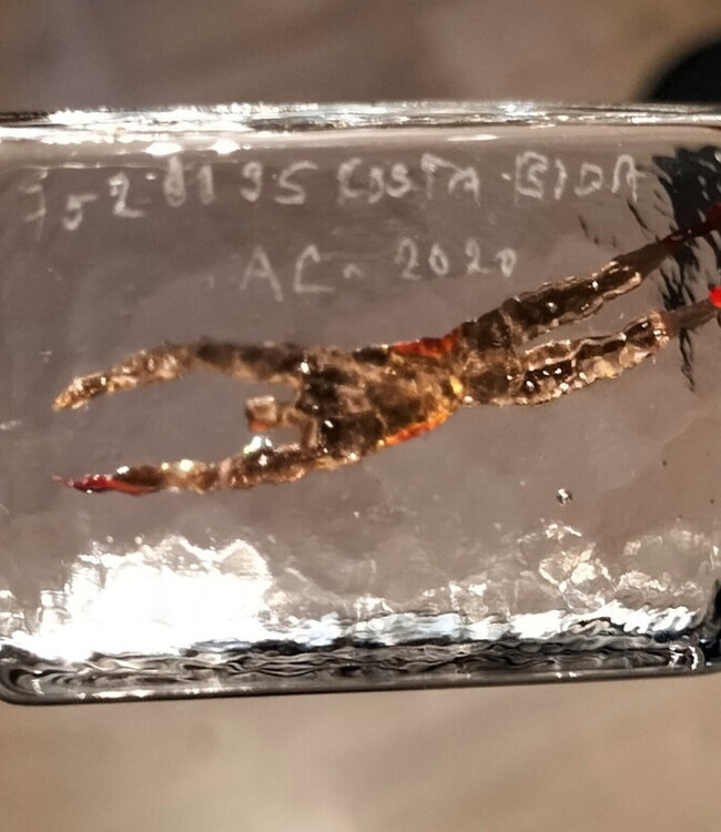 Bertil Vallien glaskunst boot