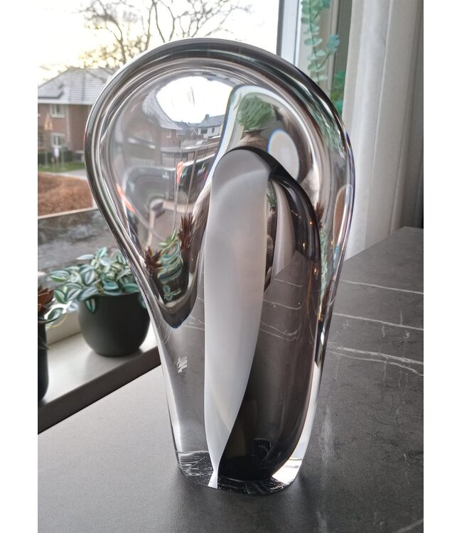 Arie van Loopik - minica 2009