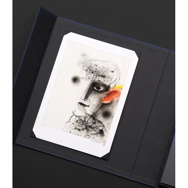 Kosta Boda buch Bertil Vallien